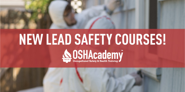 Lead Safety Banner